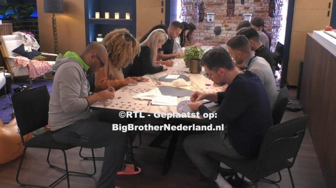 De vogel opdracht is succesvol afgerond!